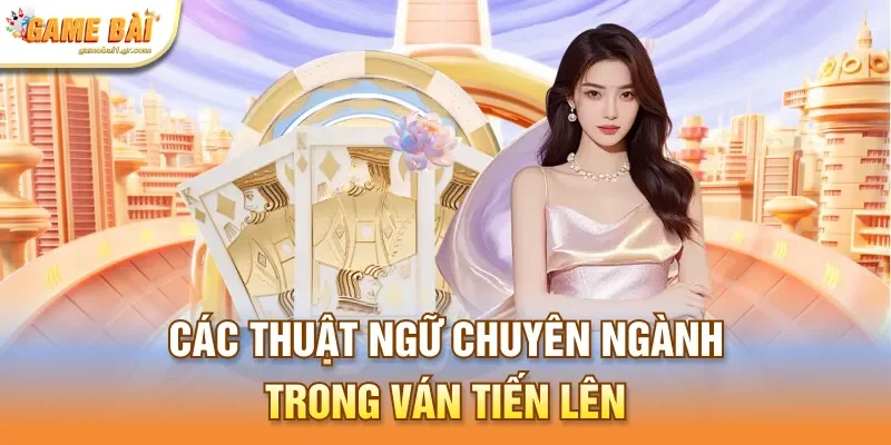 Các thuật ngữ chuyên ngành trong ván tiến lên